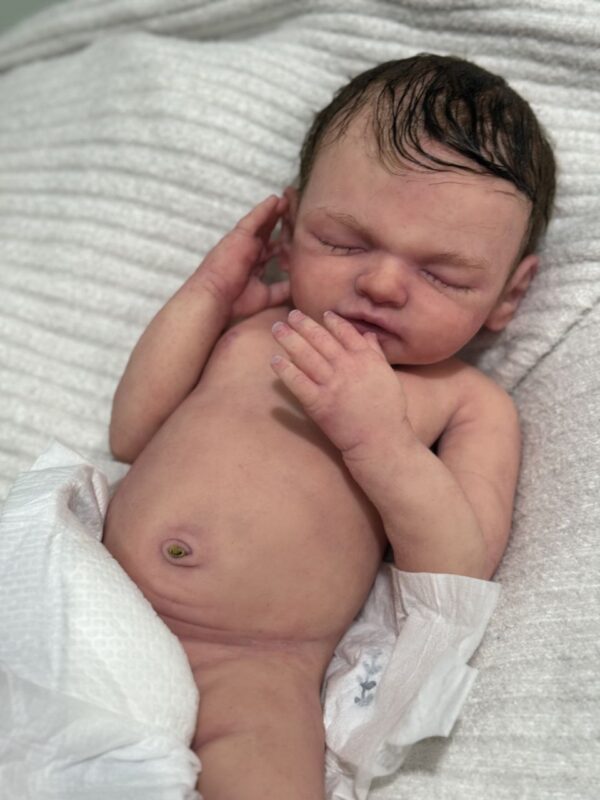 fully reborned silicone doll