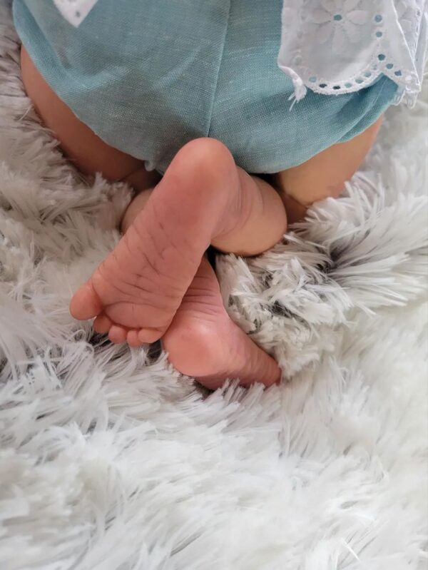 Primrose Awake - Image 9